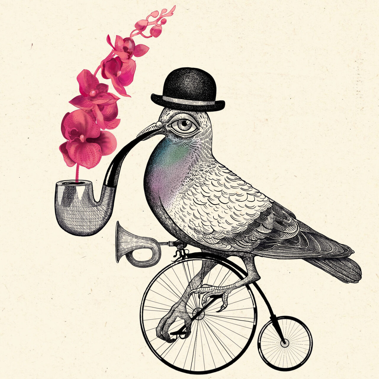 Travelin pigeon